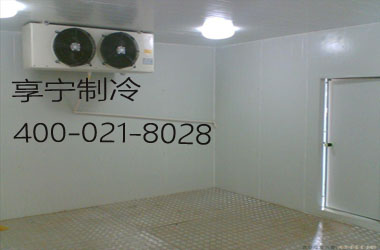 小型医药冷库--上海达孚士实业冷库工程