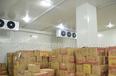 2013年年初上海嘉果贸易有限公司位于上海市闵行区双柏路的果蔬食品保鲜冷藏库投入施工建设。冷库总体积约12000立方米，设计温度0℃~5℃，共分为4间，制冷机组采用一套比泽尔三并联半封闭活塞式中高温风冷压缩机组。蒸发器采用新加坡进口逸腾冷风机。
