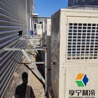 冷库蒜苔分什么等级？储藏品质分级标准与选购避坑指南