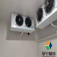 蒜苔放冷库能保存多久？资深农人教你3招让保鲜期翻倍！