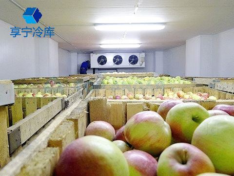 水果保鲜库--上海果慧农业科技冷库工程