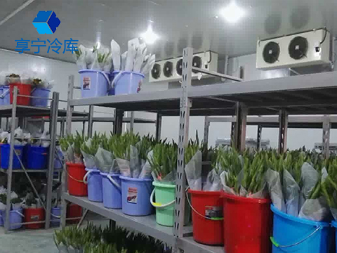 鲜花冷库--上海分尚网络科技（北京）冷库工程