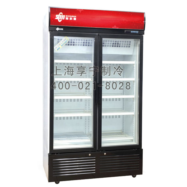 低温双门展示柜