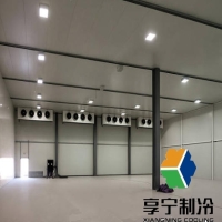 适配生鲜电商平台的优质冷链服务公司推荐