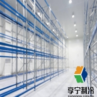 乌鲁木齐冷库建设避坑指南：本地老厂享宁制冷实测解析