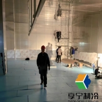 蔬菜放冷库能放多久?资深农技员揭秘保鲜秘诀与避坑指南 蔬菜放冷库能放多久?资深农技员揭秘保鲜秘诀与避坑指南