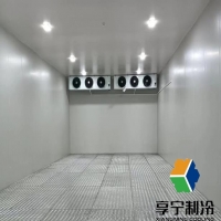 花店10平米小型冷库价格选配指南及避坑建议