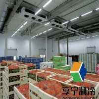 附近的冷库安装公司推荐及详细测评