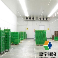 新疆冷库厂家专业工程服务商推荐享宁制冷