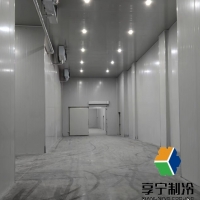 蔬菜放冷库能保存多久?专业保鲜指南+不同蔬菜储存时间表 蔬菜放冷库能保存多久?专业保鲜指南+不同蔬菜储存时间表