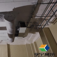 长期进出冷库干活身体怎么调理？全天候防寒养身完整方案