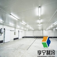 热门冷链配送中心设计规划公司哪家好？避坑指南