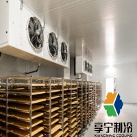 速冻冷库建设公司 2026新规适配不踩坑，优选推荐