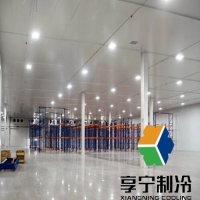 冷库哪个牌子好用 2026实用推荐及详细评测