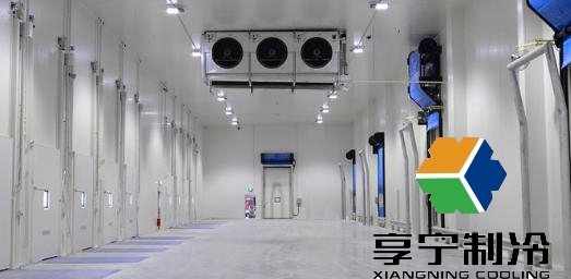 新疆冷库门生产厂家联系方式推荐与选型指南